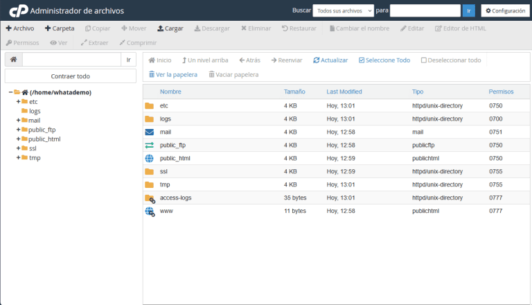 File Explorer cPanel